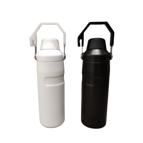 500ml 710ml Wholesale Custom logo Bpa Free Stainless Steel Insulated Gym Sports Hydrogen Water Bottle With Handle