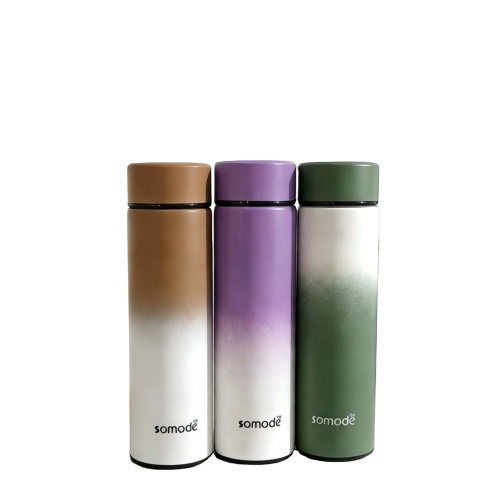 Gradient Color Stainless Steel Insulated Water Bottle with Leak-Proof Lid for Daily Use & Outdoor Activities Gradient Color Stainless Steel Insulated Water Bottle with Leak-Proof Lid for Daily Use & Outdoor Activities