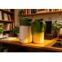 2L Stainless Steel Vacuum Insulated Kettle  Leak-proof Thermal Flask for Camping, Hiking & Outdoor Adventures