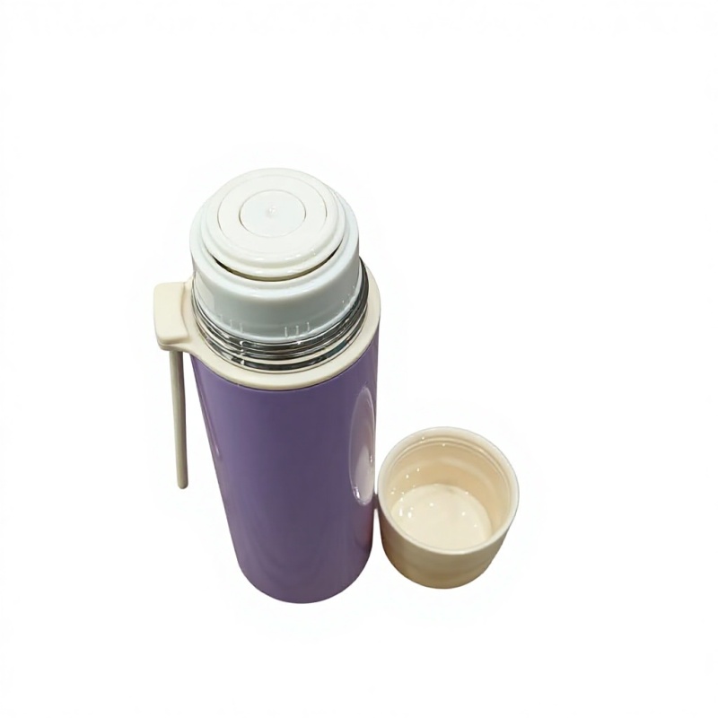 Wholesale 500ml Classic Double Wall Stainless Steel Vacuum Insulated Water Bottle with Handle for Camping