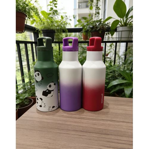 Leakproof Insulated Sports Water Bottle Stainless Steel Gym Flask with Handle for Running Hiking Camping