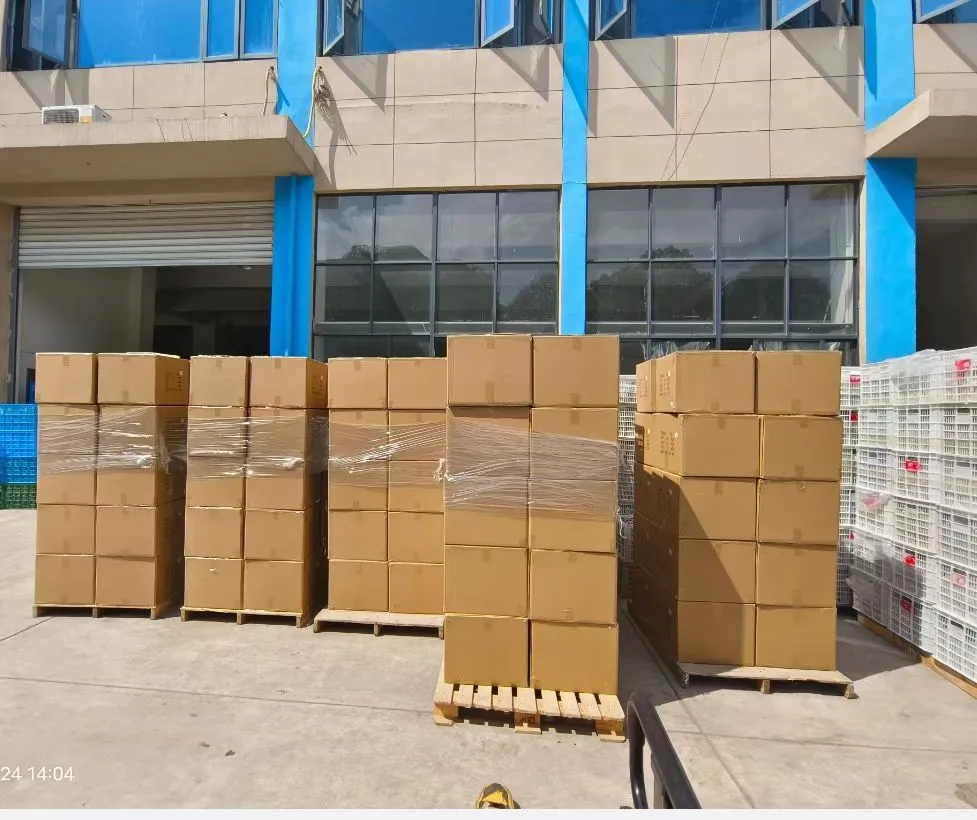 Export cartons staged outside the factory before loading