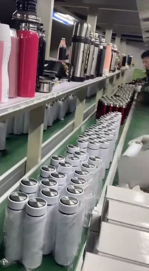 Colored coated tumbler bodies arranged along a factory production line