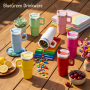 20oz Stainless Steel Tumbler with Handle and Straw Lid