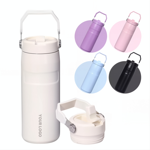 500ml 304 Stainless Steel Leakproof Water Bottle With Carry Handle And Spout Lid