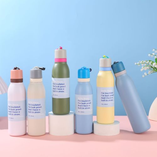 18oz 24oz Stainless Steel Double Wall BPA Free Macaron Color Thermos Cup Office Cup Sports Kettle Portable Handheld 18oz 24oz Stainless Steel Double Wall BPA Free Macaron Color Thermos Cup Office Cup Sports Kettle Portable Handheld
