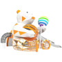 Large-Scale Outdoor Interactive Amusement Equipment for Children Non-Powered Stainless Steel Slide for Garden or School
