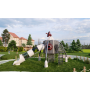 Custom Funny Kids Game Plastic Slide New Design Outdoor Playground Equipment for Outdoor Playsets