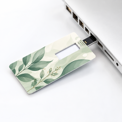 Card USB Flash Drive - Custom Logo & Bulk Orders