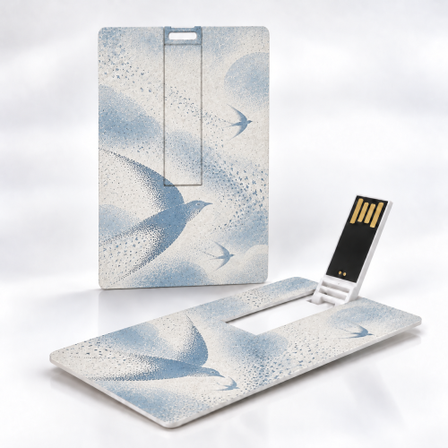 Card USB Flash Drive - Custom Logo & Bulk Orders