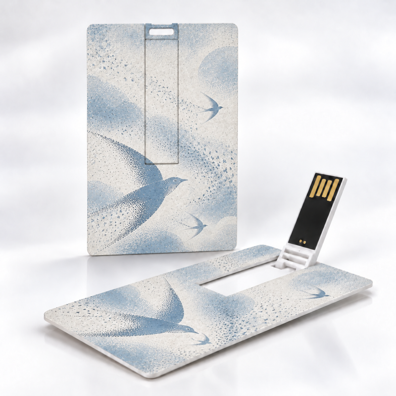 Card USB Flash Drive - Custom Logo & Bulk Orders