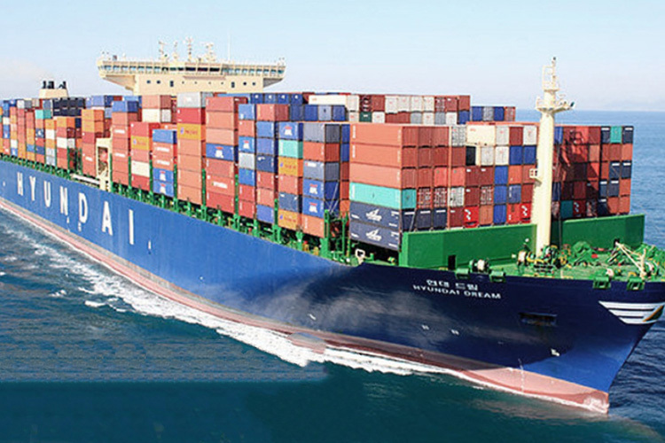 Professional container packing