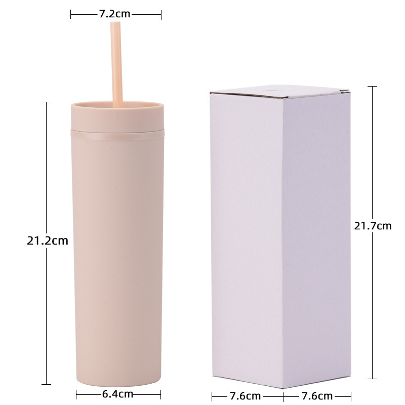 450ml BPA-Free Double-Wall AS Plastic Cup with Straw