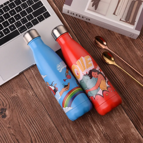 17oz Stainless Steel Insulated Water Bottle