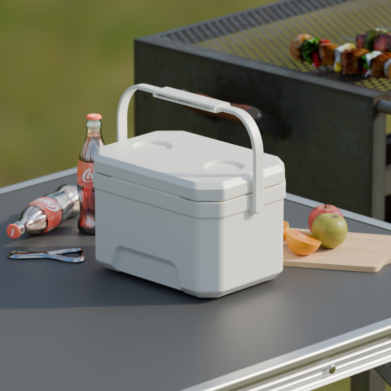 6L Insulated Cooler Box - Portable Ice Chest for Picnic & Camping