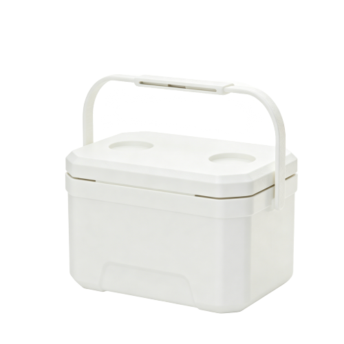 6L Insulated Cooler Box - Portable Ice Chest for Picnic & Camping 6L Insulated Cooler Box - Portable Ice Chest for Picnic & Camping