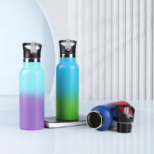 17oz Hot Selling Sports Wide Mouth Water Bottle with Carry Loop High Quality