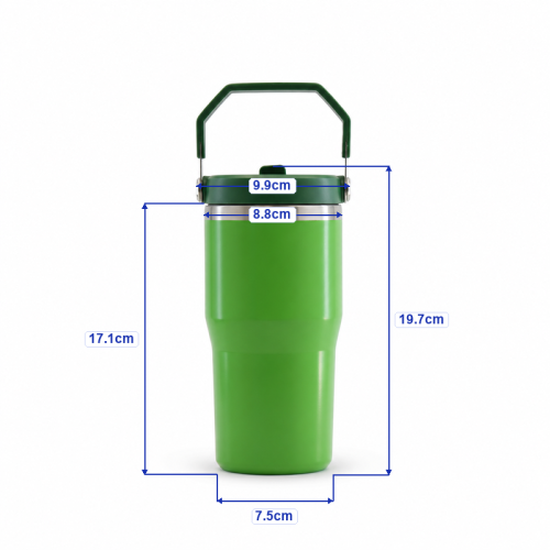 20oz Double-Wall Stainless Steel Vacuum Insulated Tumbler with Leakproof Screw-On Lid, PP Straw Spout and Carry Handle