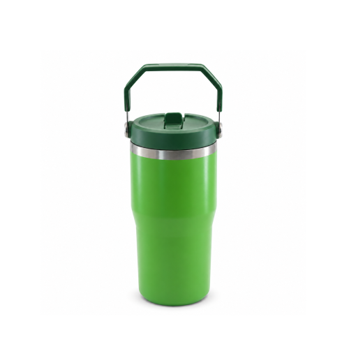 20oz Double-Wall Stainless Steel Vacuum Insulated Tumbler with Leakproof Screw-On Lid, PP Straw Spout and Carry Handle