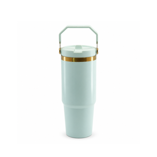 30oz Double-Wall Stainless Steel Vacuum Insulated Tumbler with Leakproof Screw-On Lid, PP Straw Spout and Carry Handle