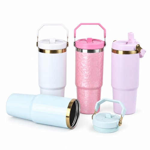 30oz Double-Wall Stainless Steel Vacuum Insulated Tumbler with Leakproof Screw-On Lid, PP Straw Spout and Carry Handle