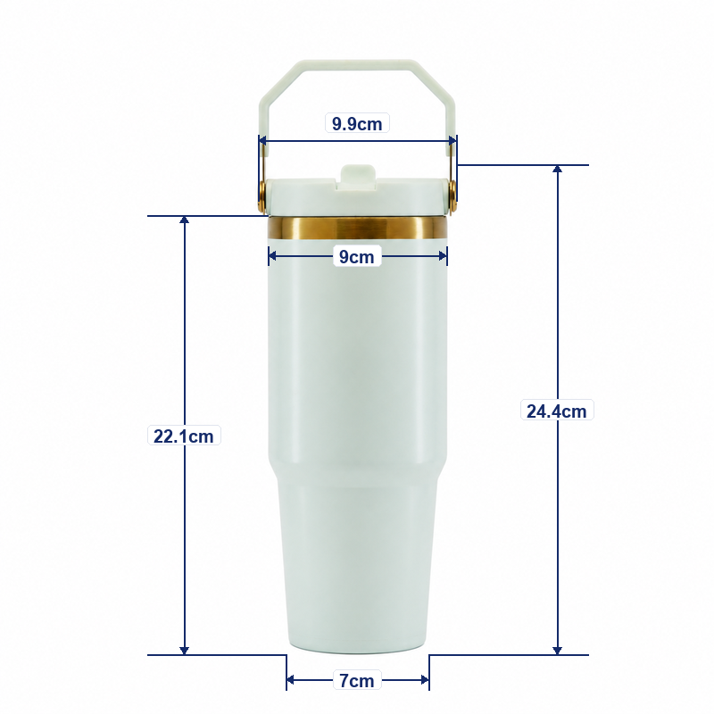 30oz Double-Wall Stainless Steel Vacuum Insulated Tumbler with Leakproof Screw-On Lid, PP Straw Spout and Carry Handle