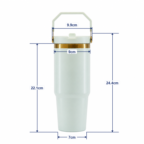 30oz Double-Wall Stainless Steel Vacuum Insulated Tumbler with Leakproof Screw-On Lid, PP Straw Spout and Carry Handle
