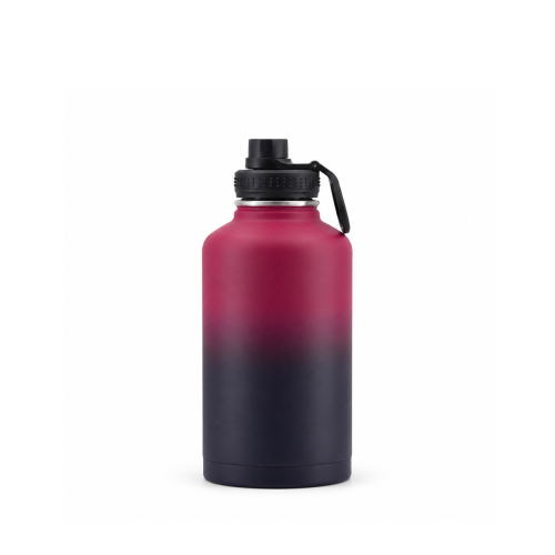 64oz Stainless Steel Wide Mouth Water Bottle with Spout Lid and Carry Handle