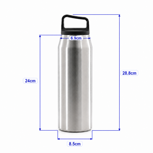 32oz Double-Wall Stainless Steel Insulated Outdoor Water Bottle with Screw-On Lid, Direct-Drink Spout and Carry Handle