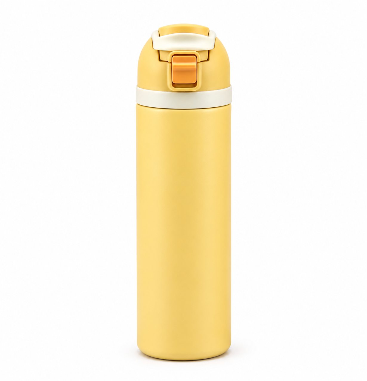 Insulated Water Bottle