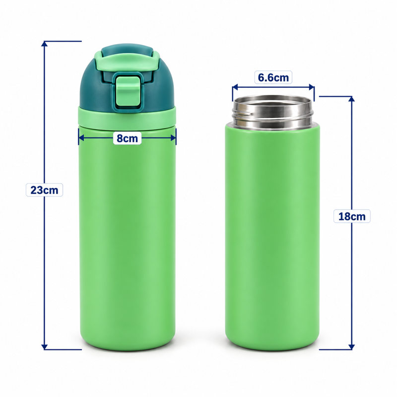 20oz Double-Wall Stainless Steel Insulated Water Bottle with Screw-On Locking Flip-Top Lid, Direct-Drink Spout and Carry Handle