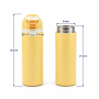 25oz Double-Wall Stainless Steel Insulated Water Bottle with Screw-On Locking Flip-Top Lid, Direct-Drink Spout and Carry Handle