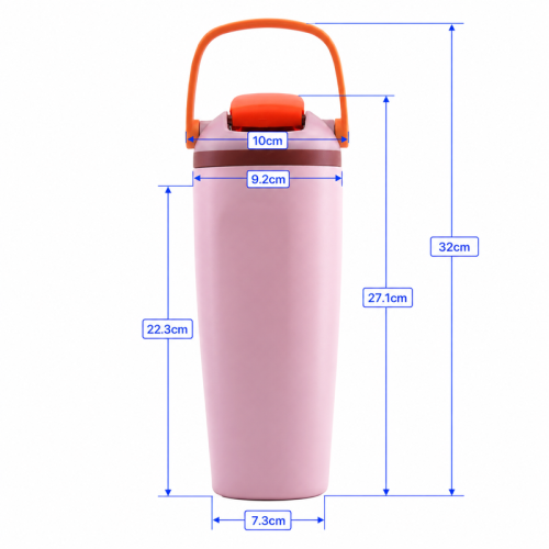 30 oz Vacuum Insulated Water Bottle with Locking Flip-Top Direct-Drink Lid & Carry Handle
