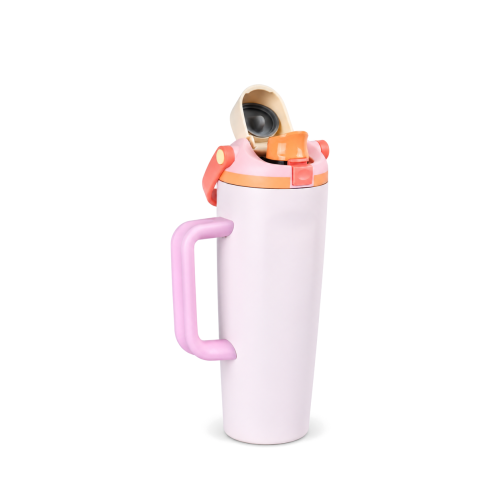 30 oz Vacuum Insulated Water Bottle with Locking Flip-Top Direct-Drink Lid & Carry Handle
