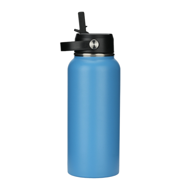 18oz Vacuum-Insulated Stainless Steel Water Bottle with Spout Lid and Carry Loop