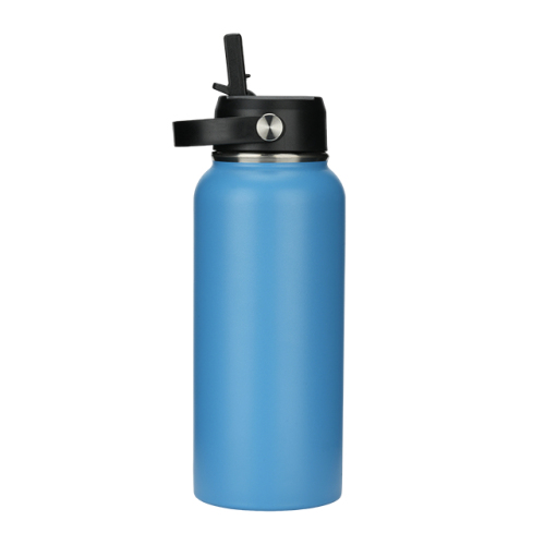 18oz Vacuum-Insulated Stainless Steel Water Bottle with Spout Lid and Carry Loop