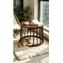 Multifunctional Coffee Table with Cat Nest