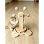 Cat Toy