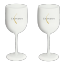 La aduana 300 ml Drinkware imprimió la copa de vino plástica de acrílico para Barware