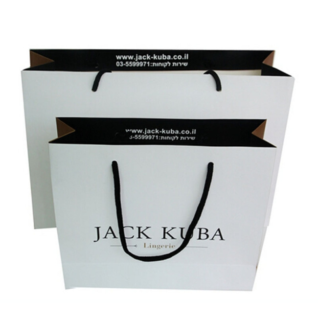 Bolsa de papel de empaquetado laminada impresa aduana de lujo del regalo de las compras con su propio logotipo