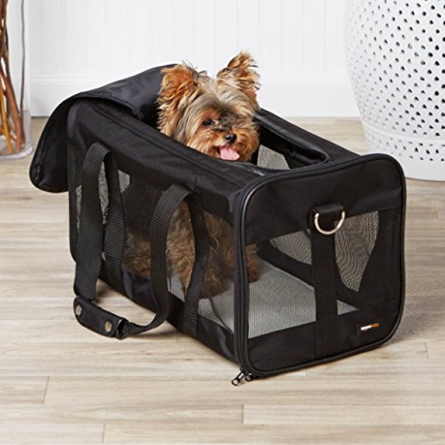 Egyedi utazási légitársaság kutya hátizsák gyári kisállat hordtáska puha oldalú kisállat utazási hordozó hálós könnyű és lélegző