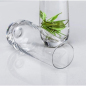 Glass champagne flute water cup