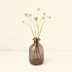 Color Vase-FH27013