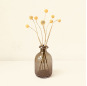 Color Vase-FH27013