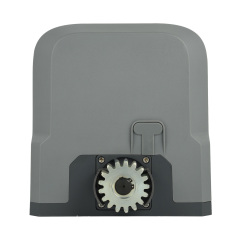 220V AC Sliding motor with magnetic limit switch SLG54003