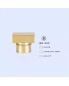 New Made Decorative Perfume Bottle Irregular Gold Perfume Plastic Bottle Cap