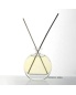 New Design Empty Perfume Women Glass Bottles 100ml Room Glass Bottles for Aroma Diffuser