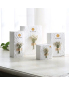 Gift Paper Packaging Box Different Capacity Box with Small Flower Decoration