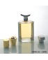 Wholesale Thick Bottom Empty Glass Bottle Perfume Packaging Trending Perfume Bottles