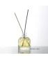 100ml Aroma Oil Bottle Design Popular Glass Reed Diffuser Bottle for Perfume